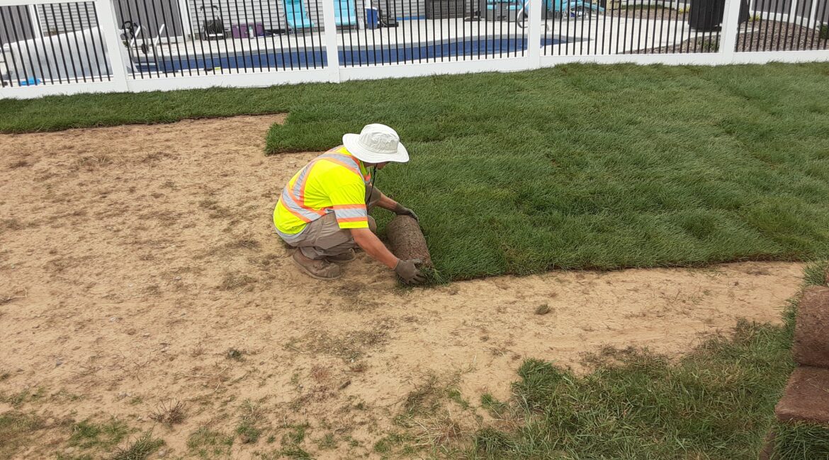 Sod Installation Webster, NY